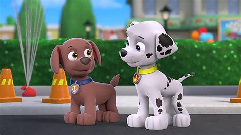 paw patrol videos